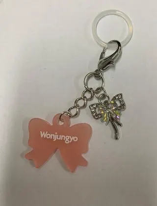 Butterfly Bow Keychain, White Gold Alloy Rhinestone + Pink Silicone Charm, K-pop Fan Bag Accessory, Wonjungyo Gift